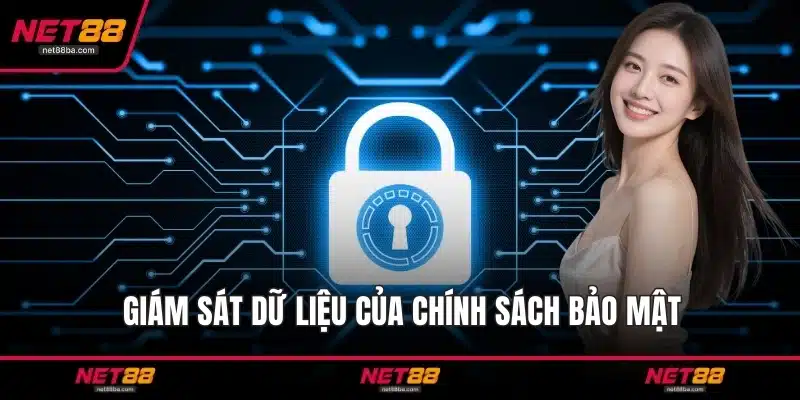 Giám sát dữ liệu của chính sách bảo mật